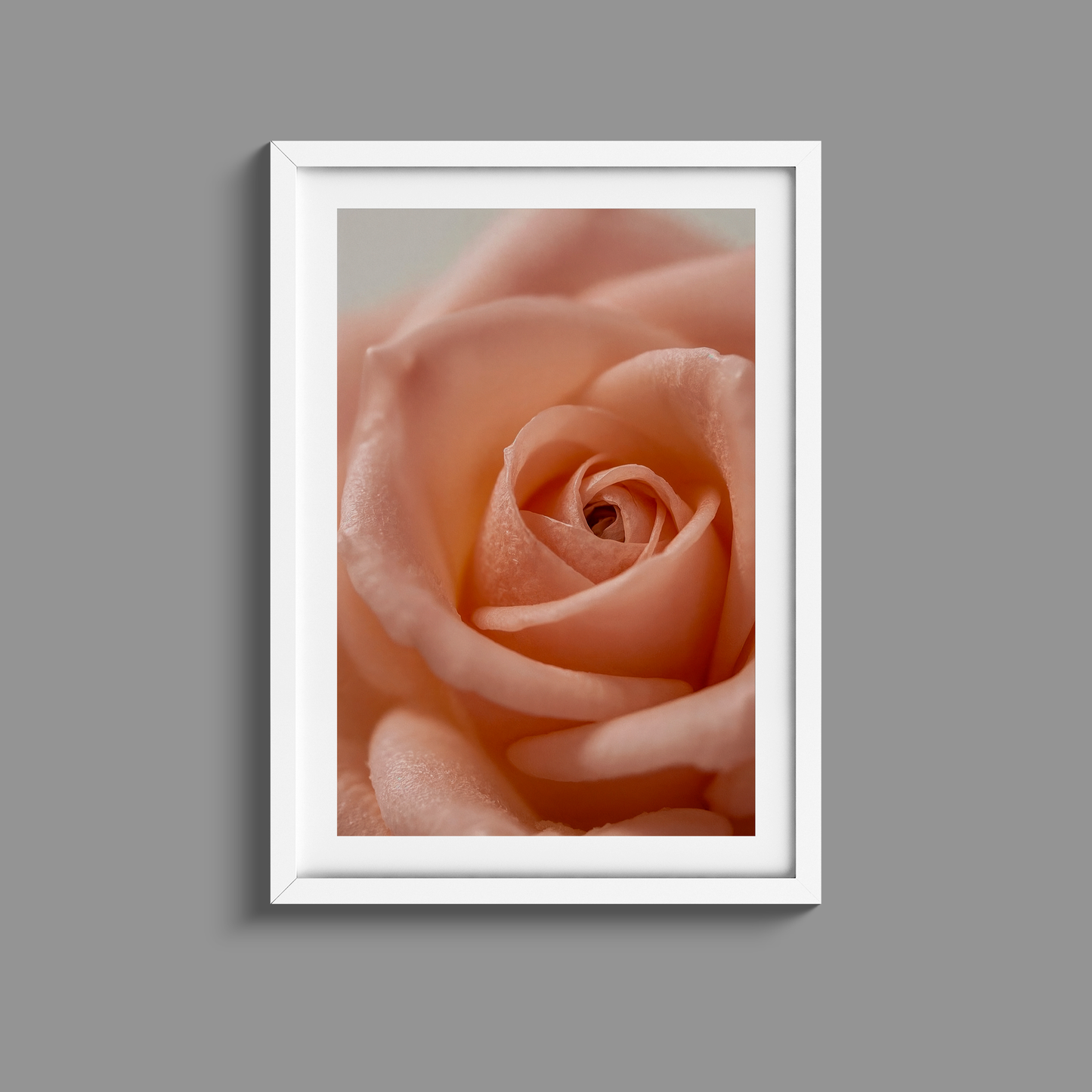 Stunning close up flower print