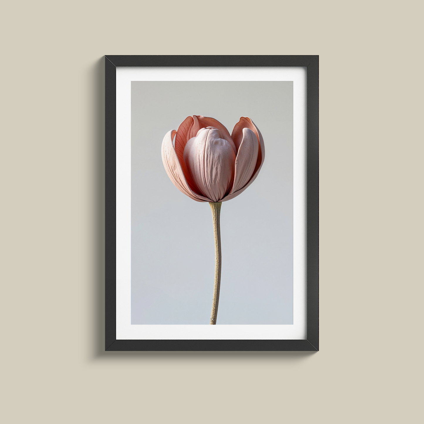 Stunning set of three dusty pink flowers
