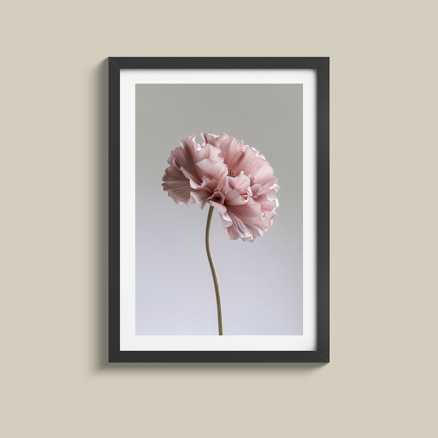 Stunning set of three dusty pink flowers