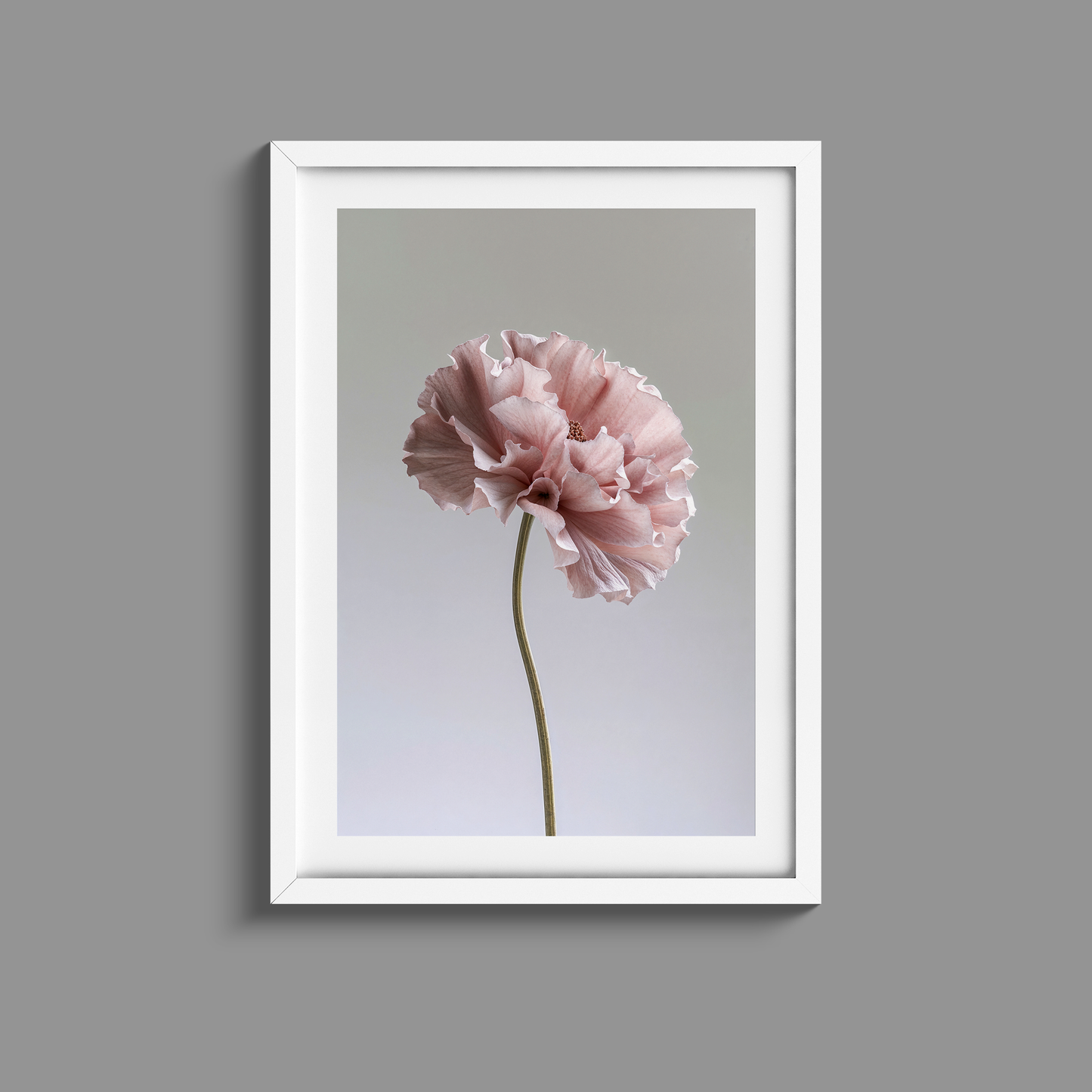 Stunning set of three dusty pink flowers