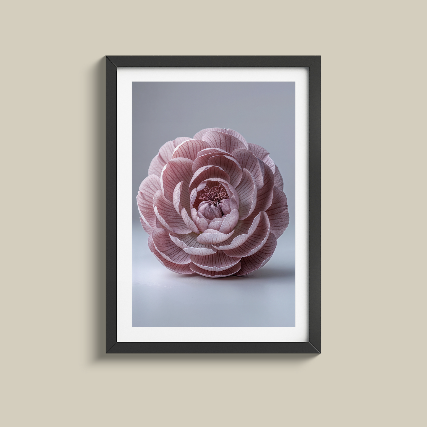Gorgeous dusty pink single rose print