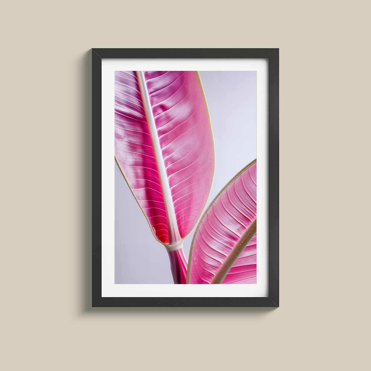 Gorgeous pink banana leaves print
