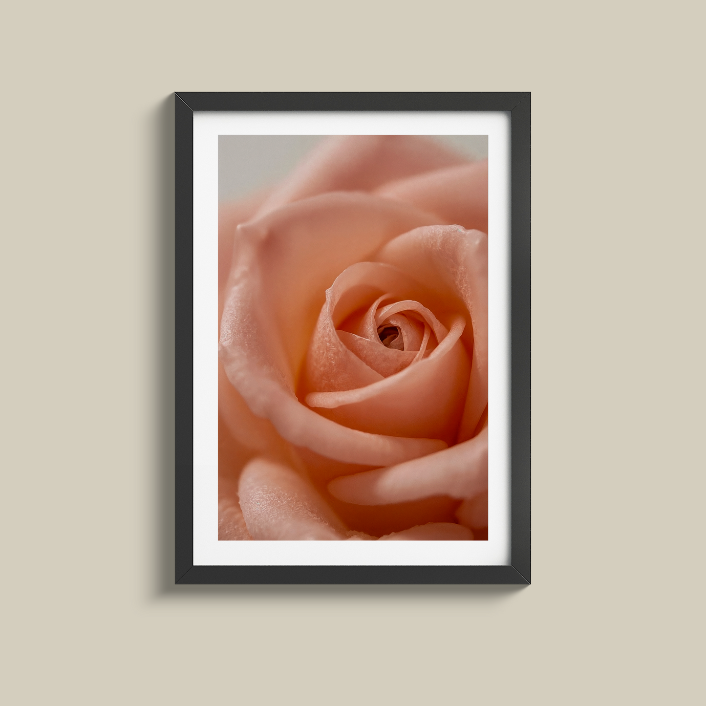 Stunning close up flower print