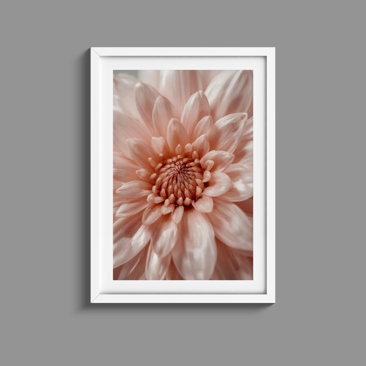 Stunning close up flower print 2