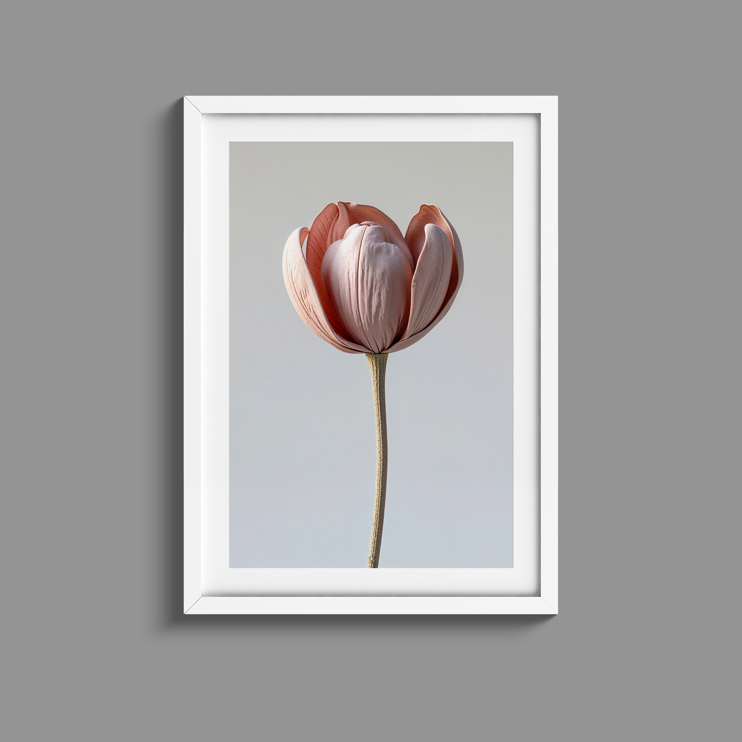 Stunning set of three dusty pink flowers