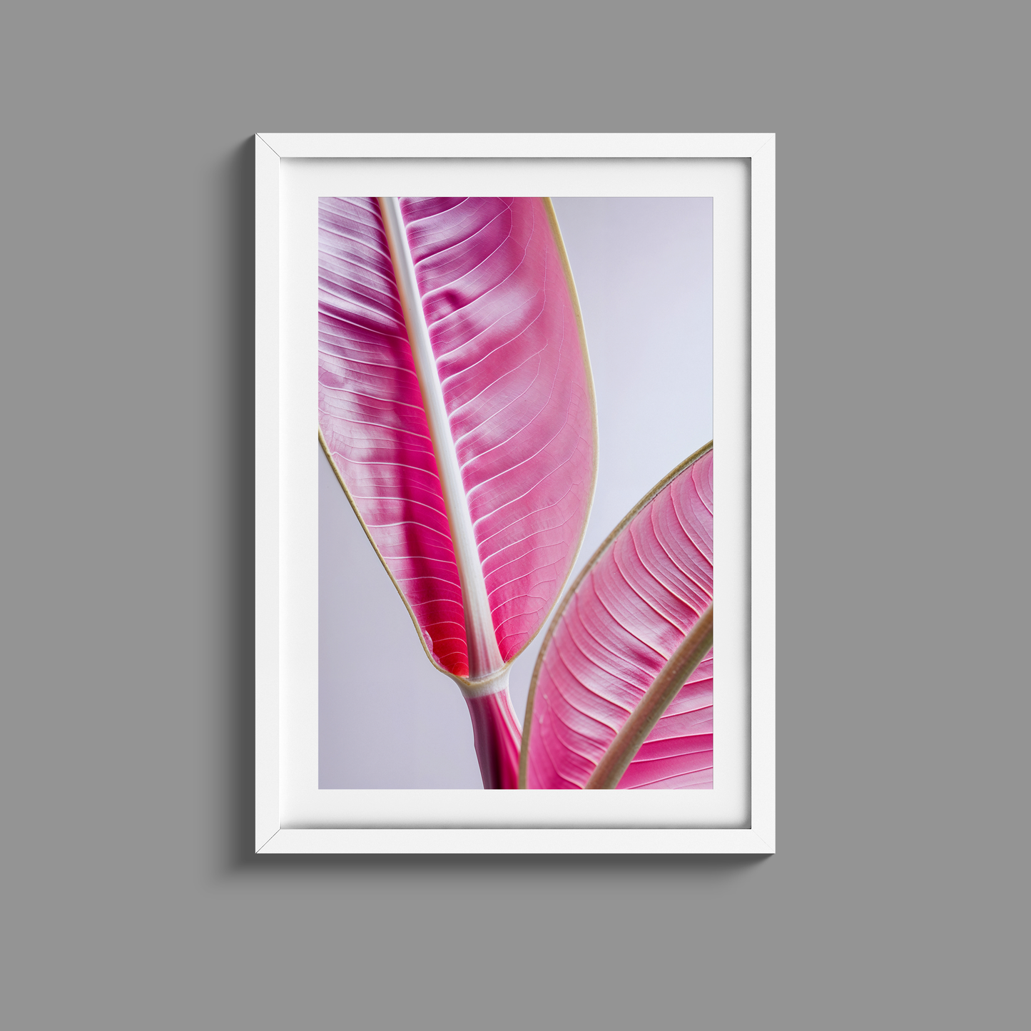 Gorgeous pink banana leaves print
